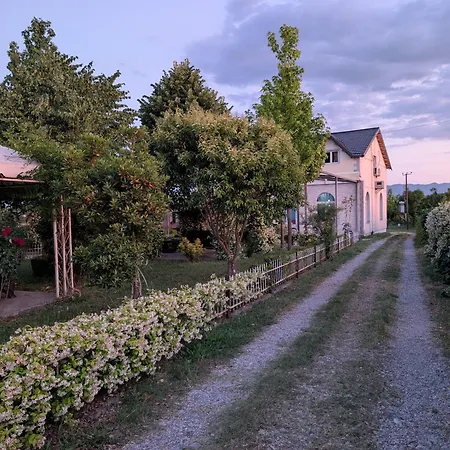 Culaj Koplik
